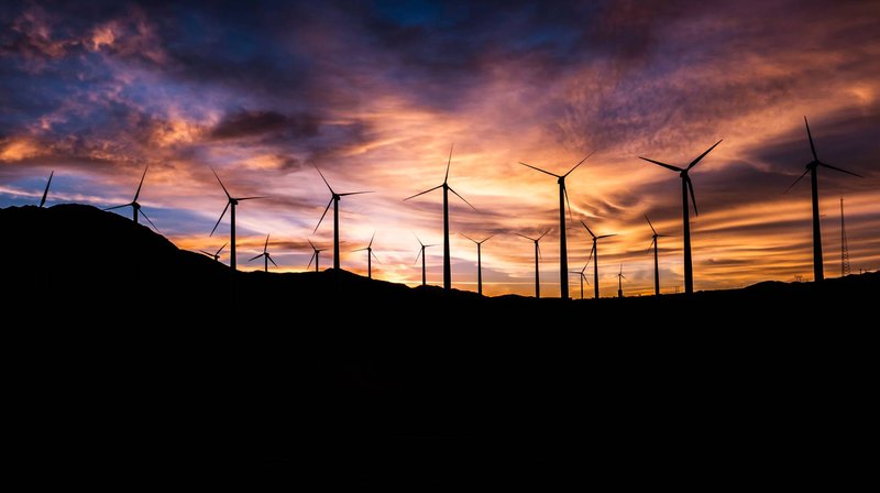 La econom�a circular y la sostenibilidad, una gran oportunidad para la creaci�n de empleo