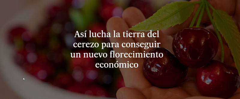 As� lucha la tierra del cerezo para conseguir un nuevo florecimiento econ�mico