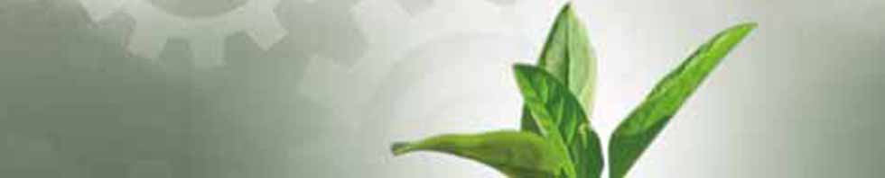 Cabecera de la comunidad